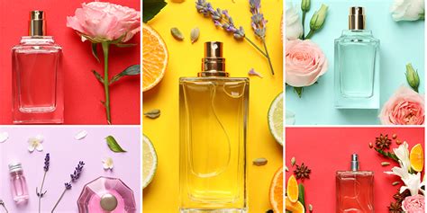 Perfume Notes Explained Understanding The Different Types Of Notes In