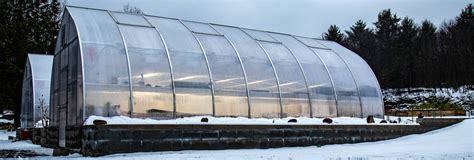 Winter Greenhouse Gardening What To Grow And How To Start