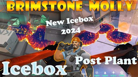 Top 15 New Icebox Brimstone Post Plant Lineups Brimstone Lineups