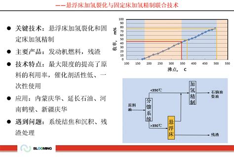 油煤共炼悬浮床加氢技术波露明北京科技有限公司