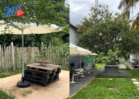 COKOBAR: A Café That Combines Coffee, Nature, and Relaxation