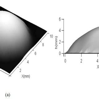 (a) 3D unwrapped phase map resulting after tilt removing and (b ... 