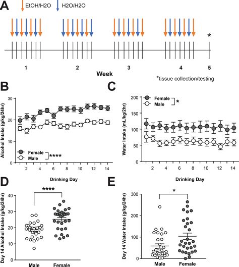 Sex Specific Plasticity In Crf Regulation Of Inhibitory Control In Central Amygdala Crf Neurons