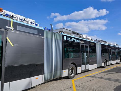 Cambios en el transporte de la Ciudad: cuándo llegan los colectivos