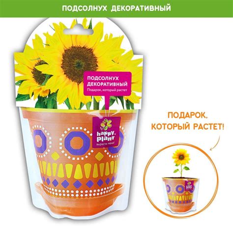 Набор для выращивания Happy Plant, Подсолнечники, Двухлетник купить по ...