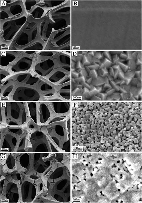 Sem Images Of A And B The As Obtained Ni Foam At Different