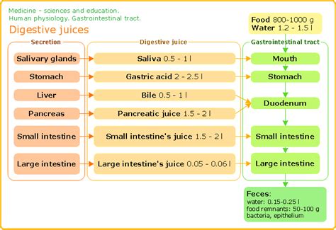 Conceptdraw Samples Science And Education — Medicine