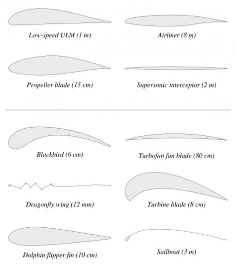 Airfoil Design 101: What Is an Airfoil? - National Aviation Academy