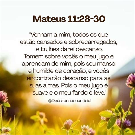 483 Curtidas 20 Comentários Deus Abençoou Oficial 🕊️ Deusabencoouoficial No Instagram