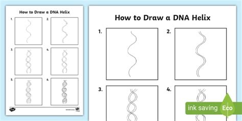 How To Draw A DNA Helix Teacher Made Twinkl