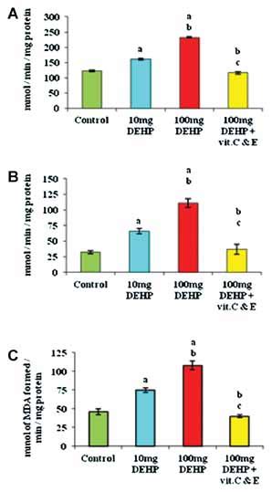 Effect Of Di 2 Ethylhexyl Phthalate DEHP And Vitamins C E