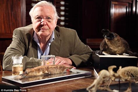 David Attenborough had heart and knee surgery | Daily Mail Online