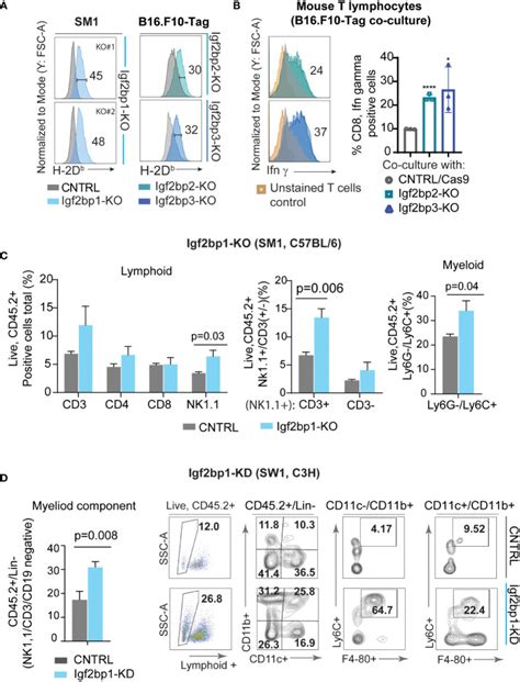 B16 Mouse Melanoma Cell Lines ATCC Bioz