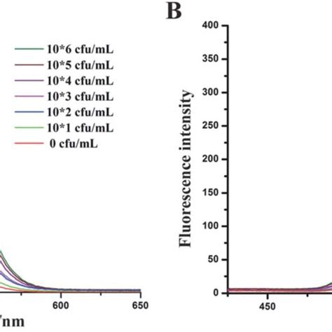 Fluorescence Intensity Of Various Concentration Of V Parahaemolyticus