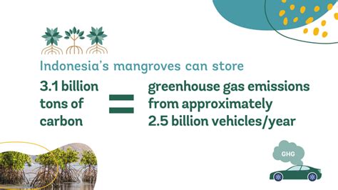 Mangrove Conservation and Restoration: Protecting Indonesia’s Climate ...