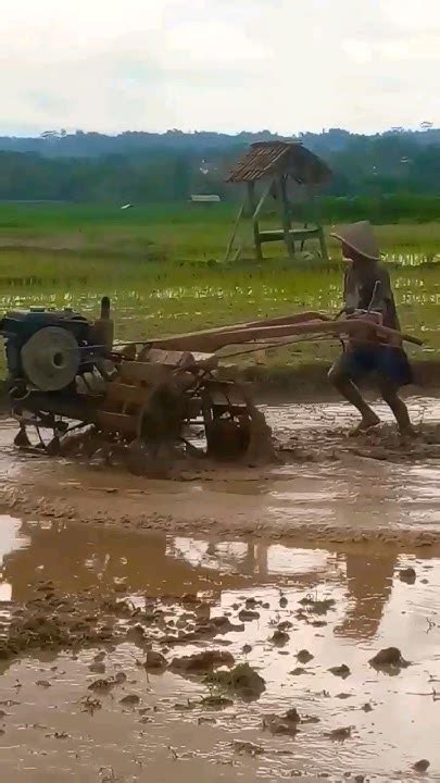 Membajak Sawah Dengan Traktor Shortvideo Youtube