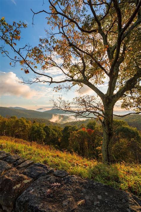 Shenandoah National Park Fall Foliage Report | Shenandoah national park ...