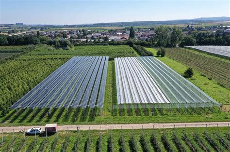 Photovoltaik In Der Landwirtschaft Oben Solarstrom Unten Beeren