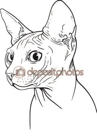 Векторы похожие на 71751153 hairless sphinx cat face graphics outline