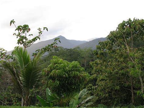 Kokoda Trail Papua New Guinea I Best World Walks Hikes Treks Climbs