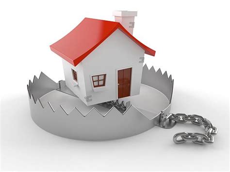 медвежий капкан - Сток картинки - iStock