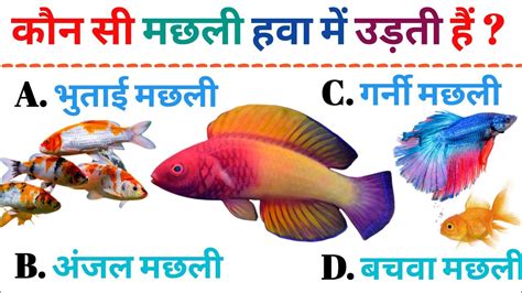 Most Brilliant Gk Questions And Answers In Hindi ।। Gk Quiz ।। Gk Ke