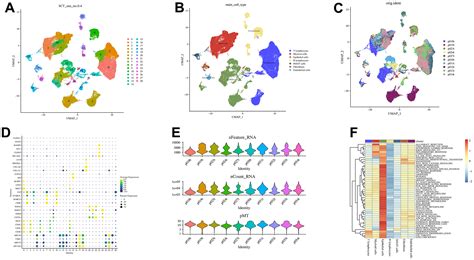 Prognostic Analysis Of Lung Adenocarcinoma Based On Cancer Associated