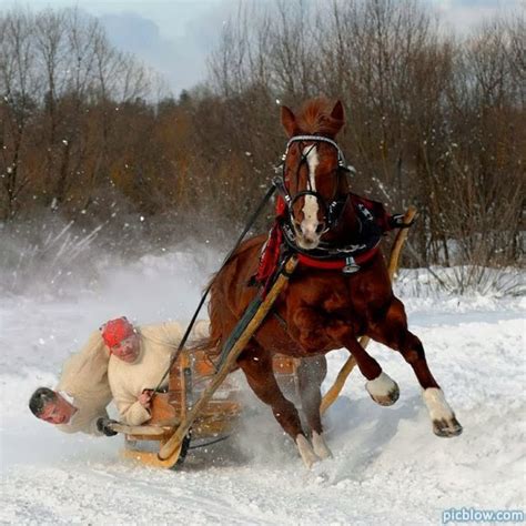 Listening Friday Leroy Anderson Sleigh Ride