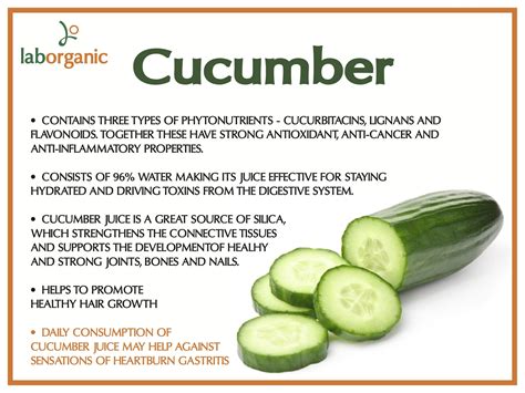 Health benefits of eating cucumber | Cucumber health benefits, Healthy ...