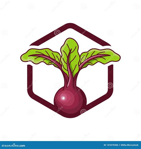 Logo Design Beetroot Stock Vector Illustration Of Green 141879306