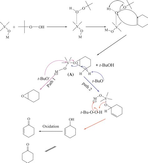 Proposed Mechanism For The Cyclohexene Epoxidation Reaction By TBHP