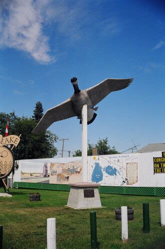 Goose of Quill Lake, Saskatchewan