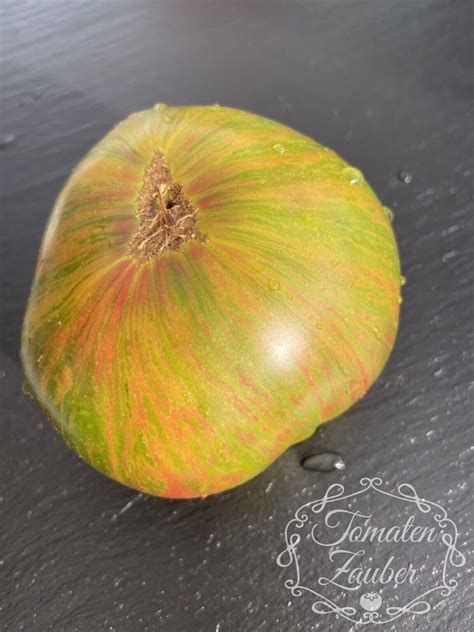 Ananas Zebra | Tomatenzauber.de Onlineshop