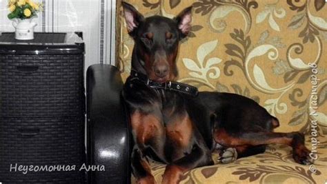 Делаем подставку под бумажные полотенца / Как сэкономить