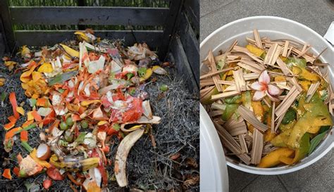 Aerobic Vs. Anaerobic Composting: Which Method Is The Better Choice? | Will It Compost