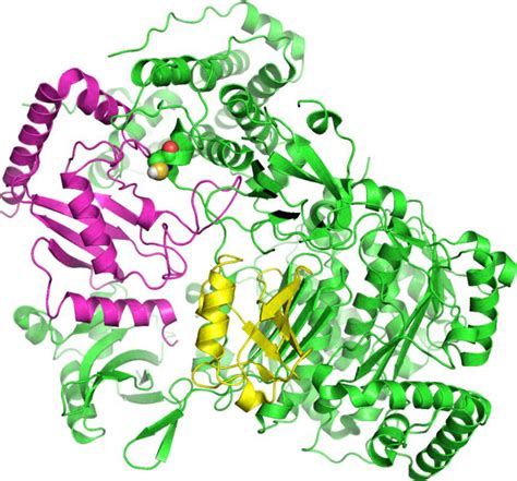 Proteostasis Regulators In Cystic Fibrosis Current Development And