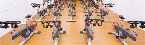 Vinyl Flooring For Gym – Flooring Site