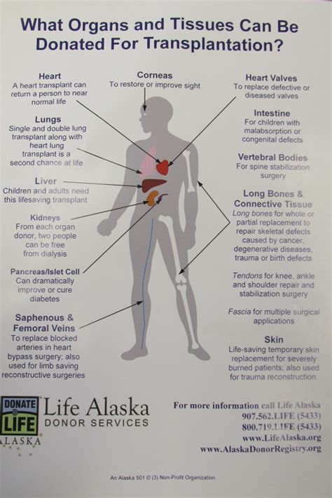 To be or not to be...an organ donor - KRBD