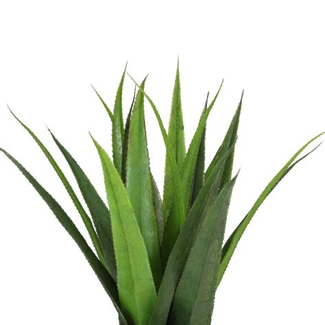 Northlight 17-in Green Indoor Agave Artificial Plant 32556010 at Lowes.com