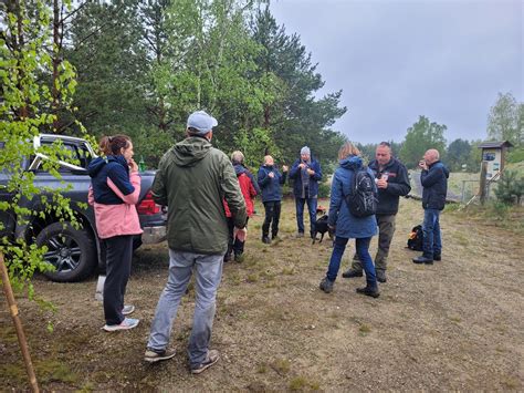 Engagierte Helfer innen machen Aussicht Wildnis fit für