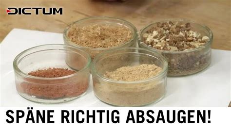 Staub Und Sp Ne Richtig Absaugen Welches Absaugger T Ist Das Beste