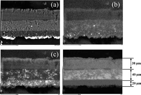 SEM EDS Images Of The Cross Section Of White Automotive Paint Fragment