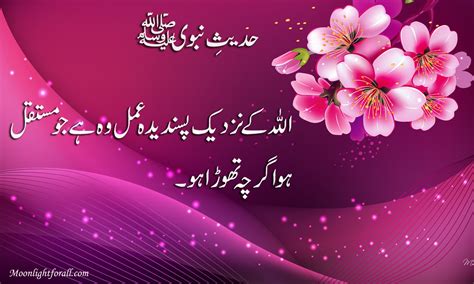 Hadees In Urdu, Hadith, Sunnah, Bukhari, Muslim-moonlightforall.com