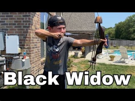 Black Widow Recurve Bow First Impressions Youtube