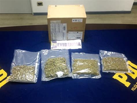 Incautaron más de 1 kilo de marihuana proveniente desde EE UU con