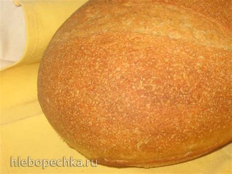 Жидкие дрожжи на основе фруктов, овощей, трав, чая...