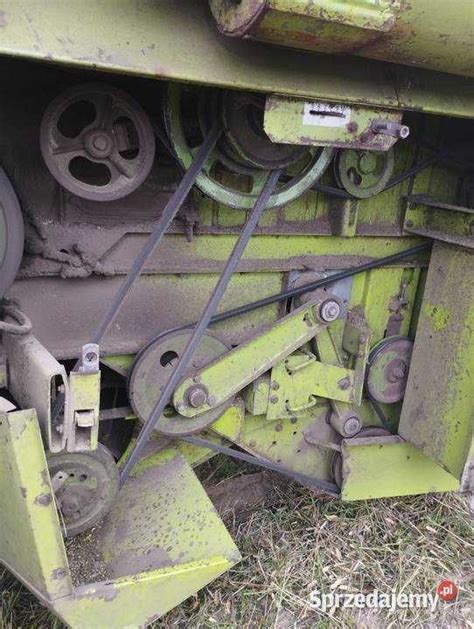 Claas Dominator M St Do Rzepaku W Zek Ostr W Mazowiecka Olx Pl