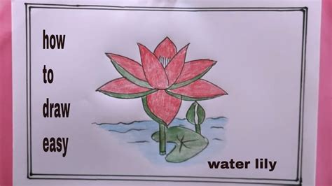 How To Draw Water Lily Step By Step Water Lily Drawing Youtube