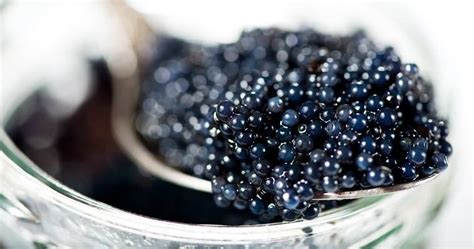 Caviale - Misya.info