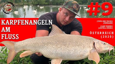 Karpfenangeln am Fluss carp fishing austria tipps tricks frühjahr